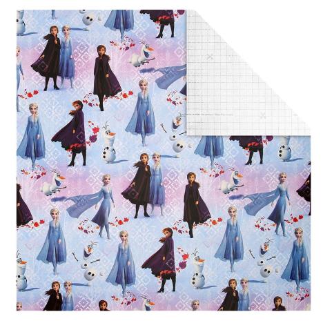 Disney Frozen 2m Roll Wrap Extra Image 1